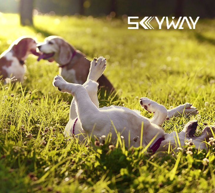 寧波天路進(jìn)出口有限公司